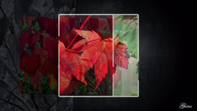 Eric Clapton - Autumn Leaves смотреть онлайн