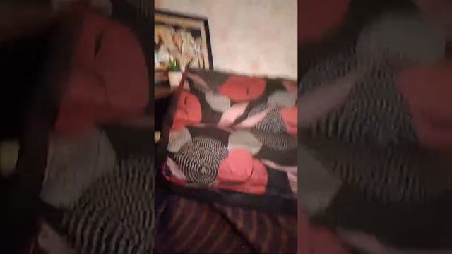 Kinder Пингви Я люблю смотреть онлайн
