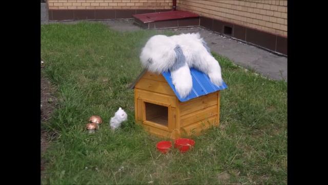 Благоустройство и озеленение территории детского сада смотреть онлайн