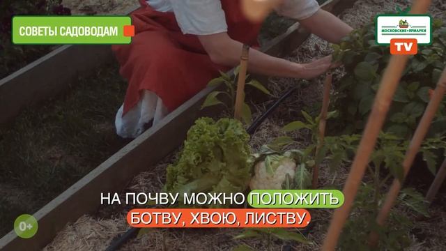 «Московские ярмарки»: прощаемся с дачными работами смотреть онлайн