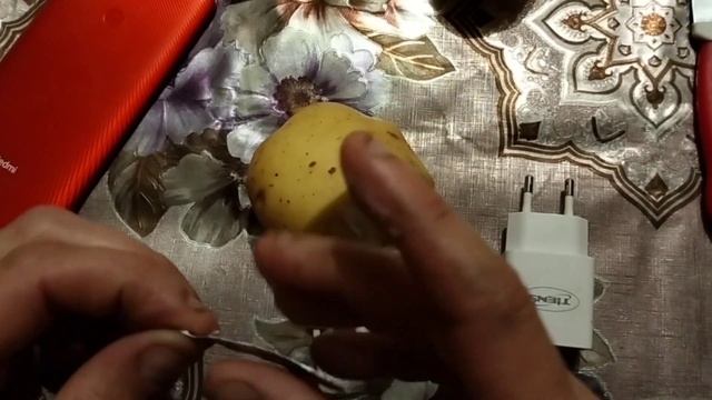 Электричество из КАРТОШКИ. Как зарядить телефон, если нет света? Заряжаем от картошки . смотреть онлайн