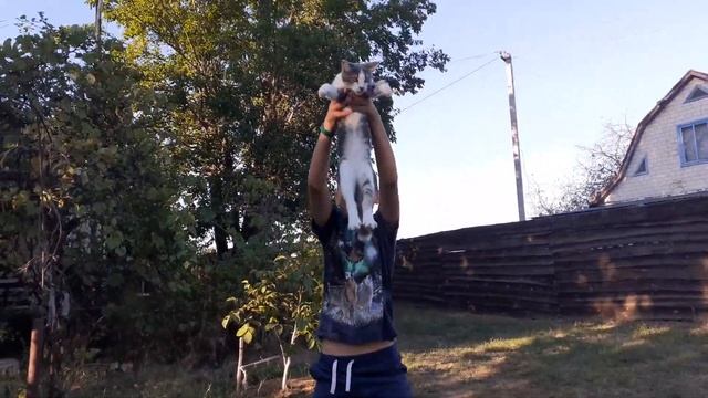 Брейк данс от Давида и кота смотреть онлайн