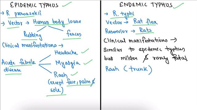 Rickettsia | Microbiology | Typhus fever | Weil felix test |Rickettsial infection | смотреть онлайн