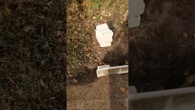 трамбовка отсева. черновой слой подготовки по укладку брусчатки смотреть онлайн