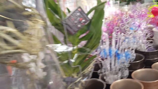 Орхидеи в IKEA и ОБИ МЕГА БЕЛАЯ ДАЧА 11.02.2017 смотреть онлайн