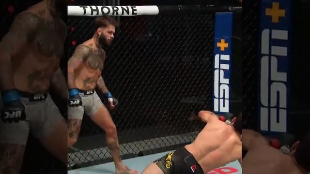 ?✅Нокаут Коди Гарбрандт:UFC✅? смотреть онлайн