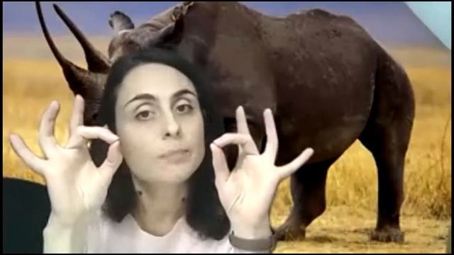 №39 Онлайн Развивающие занятия для детей / Занятия  на платформе Zoom ? #ZOOM ? #ONLINECLASS