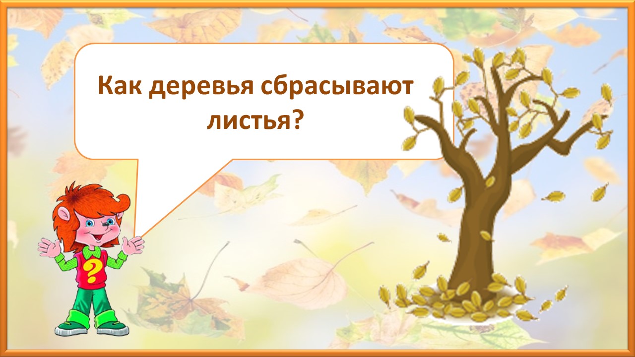 Почемучка. Как деревья сбрасывают листья
