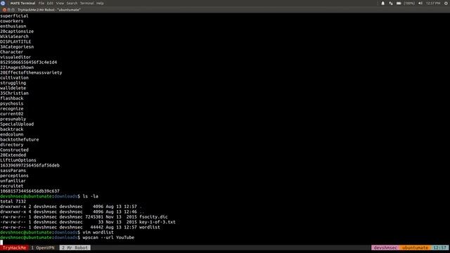 Mr. Robot | TryHackMe Walkthrough смотреть онлайн