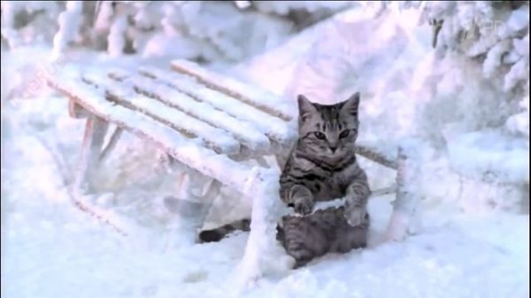 Реклама Whiskas | Вискас Новогодняя - "Такого снегопада.."