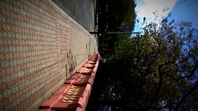 Prueba de video - Cámara Nikon Coolpix L810 смотреть онлайн