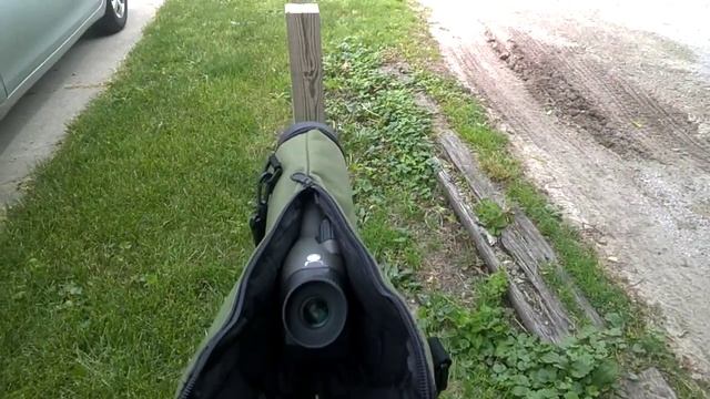 Bird Watching: Scope Setup смотреть онлайн