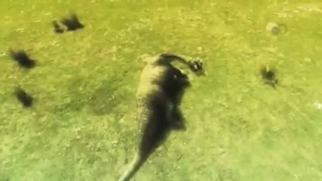 T-Rex vs Spinosaurus - Part 1 смотреть онлайн