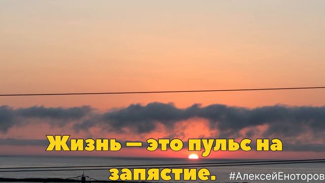 Жизнь-это...