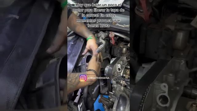 Cambio kit de distribución o correa de tiempo fiesta titanium 2014 смотреть онлайн