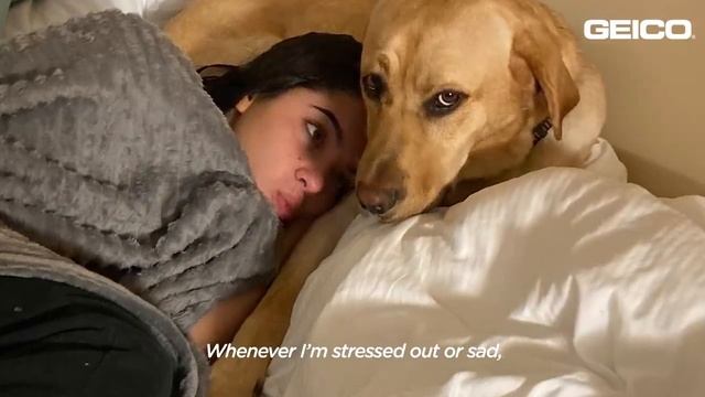 Anastasia Pagonis’ Loyal Guide Dog Sits Next To Swimming Pool During Practice | The Dodo Teammates смотреть онлайн