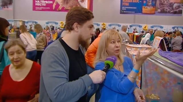 Самая большая выставка кошек Кэтсбург 2019 видео канала Москва онлайн 24 смотреть онлайн