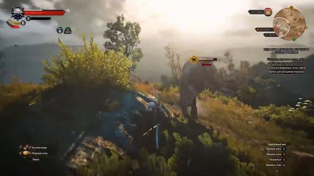 The Witcher 3: Wild Hunt "Мод школы Плотвы" #24 - Пропавший патруль смотреть онлайн