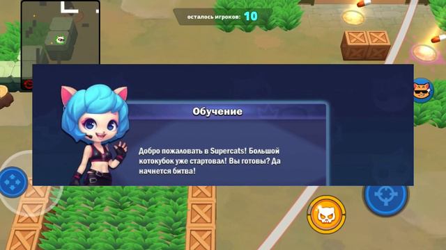 supercats теории| „КТО ЯВЛЯЕТСЯ ГЛАВНЫМ ГЕРОЕМ?“ смотреть онлайн