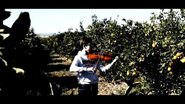 Telemann Fantasia nº 10 para violín solo смотреть онлайн