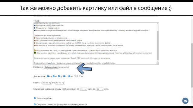 Рассылки в WhatsApp смотреть онлайн