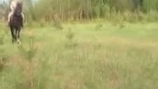 Комары и Тема 