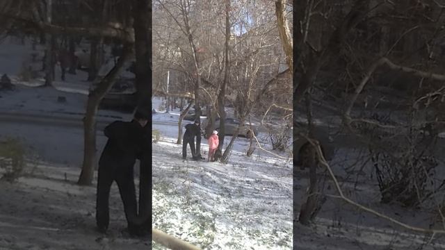 Кормушка для птиц: воробьёв и синиц - 02 смотреть онлайн
