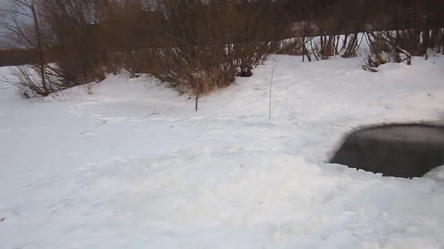 Моржи на Десне смотреть онлайн