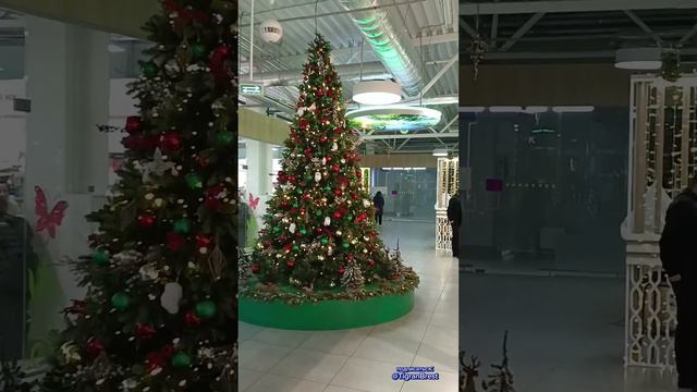 БРЕСТ СЕГОДНЯ! ТОРГОВЫЙ ЦЕНТР ЭКВАТОР! смотреть онлайн