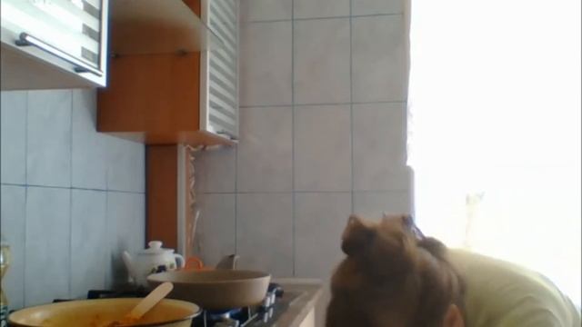 НУ ОЧЕНЬ НЕОБЫКНОВЕННАЯ ВКУСНЯТИНА МОРКОВНЫЕ КОТЛЕТКИ смотреть онлайн