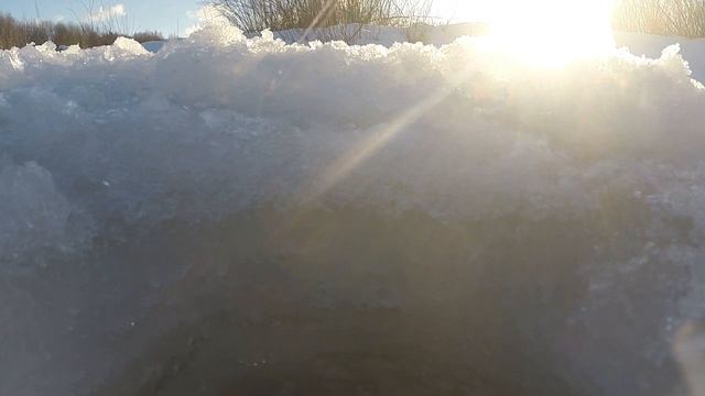 Одиночная плотва на мормышку на мотыля