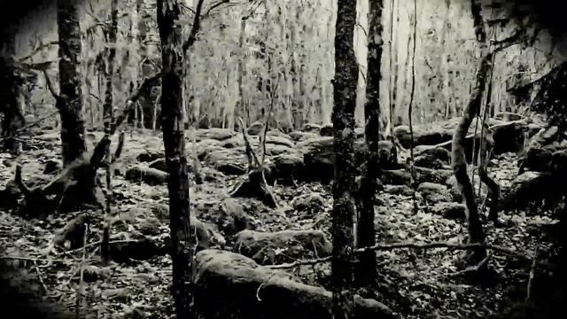 Kråkevisa - Northwind