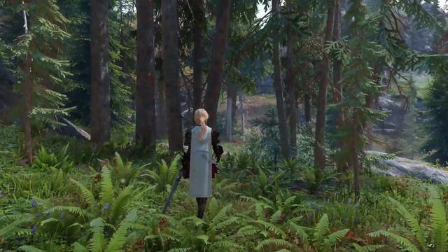 SkyrimSE Ultra Modded 4K : 2021 Graphics !! Pine forest !! смотреть онлайн