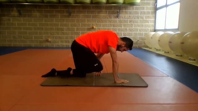 Pilates Matwork con AndreaDB смотреть онлайн