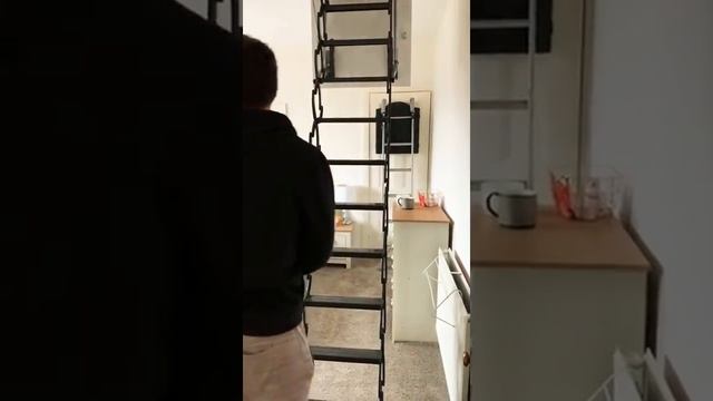 Concertina Loft Ladder Installed in Kirkcaldy смотреть онлайн