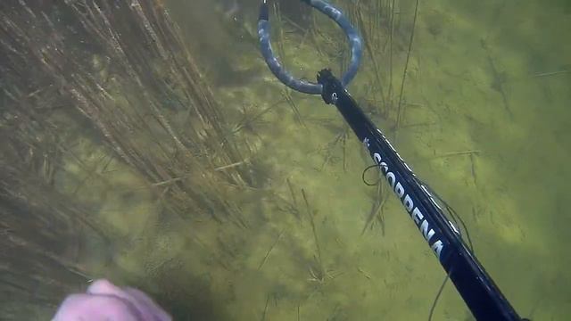 Underwater Hunting. Подводная охота. 2 shoots :) смотреть онлайн