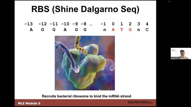 Machine Learning 2023 | 05: Gene Prediction with NNs смотреть онлайн