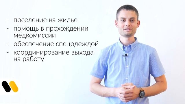Робота в Польщі. Хто такий координатор смотреть онлайн