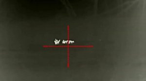 Тигр  7,62/54 тепловизор iray scp 19 w