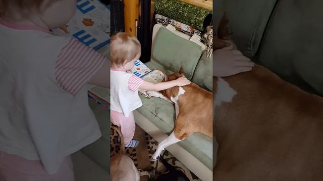 Милена и GaidJewel's kennel. смотреть онлайн