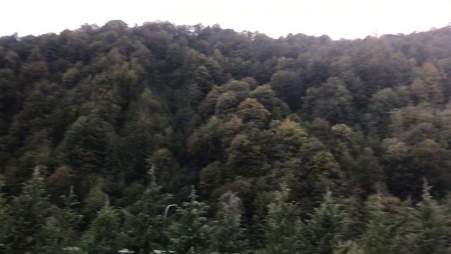 открытый Бассейн Гранд отель Поляна 50 м смотреть онлайн