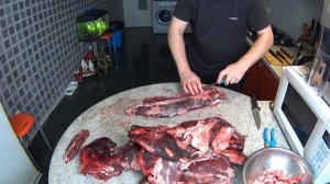 РАЗДЕЛКА Косули. Roe Deer. Выпуск №456