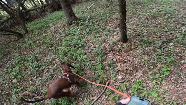 5.05.23 Лиза (след на знакомого статиста с пересечением другим статистом) смотреть онлайн