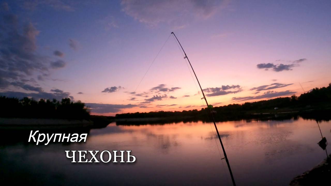 Поймал ЧЕХОНЬ размером с крупную селедку 300+ смотреть онлайн