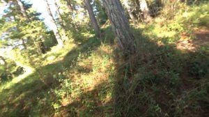 АБХАЗИЯ. Пицунда ☼ Дикий пляж. "Курорт Пицунда" ..