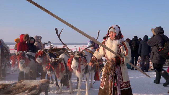 NO COMMENTS. День оленевода 2023 смотреть онлайн
