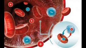 Самая редкая группа крови и как она на самом деле определяется