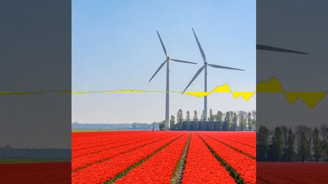 The Netherlands is the epicenter of Joomla this week смотреть онлайн