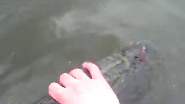 щука 2,8кг убежала смотреть онлайн