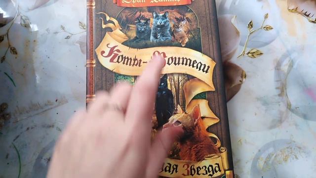 Обзор моих книг Коты-Воители смотреть онлайн